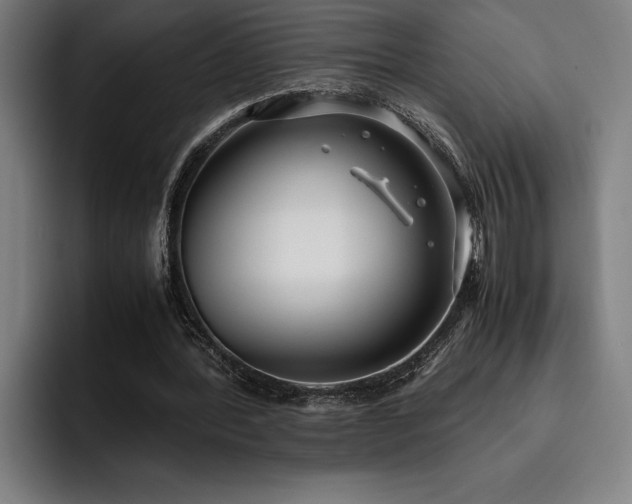 X0000093530388200710121603