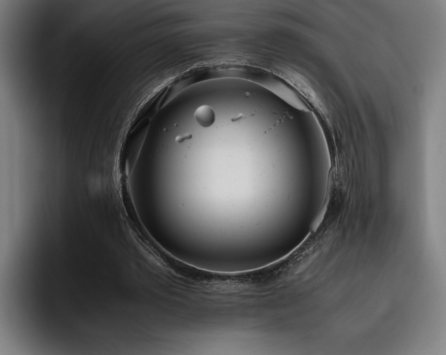 X0000093530389200710121603
