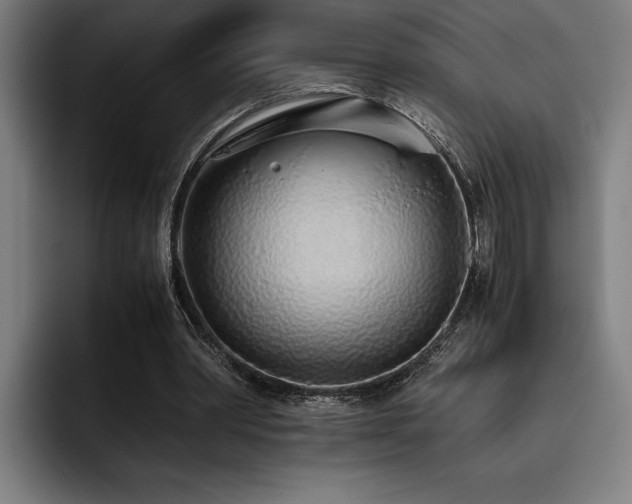 X0000093530390200710121603