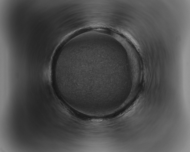 X0000093530391200710121603