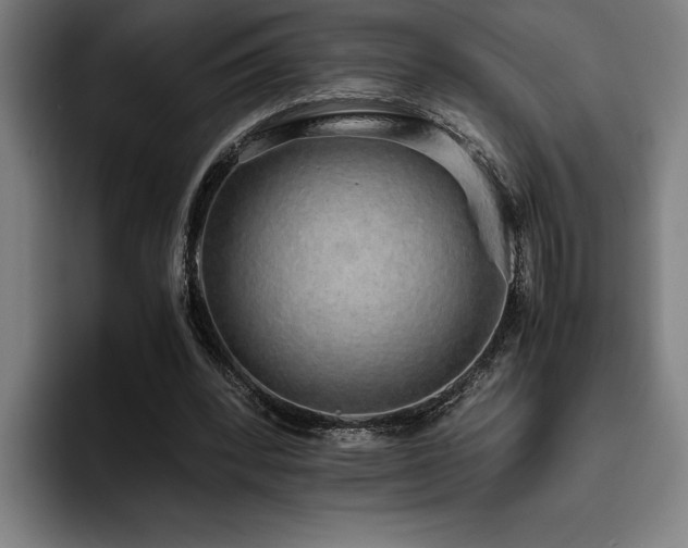 X0000093530392200710121603