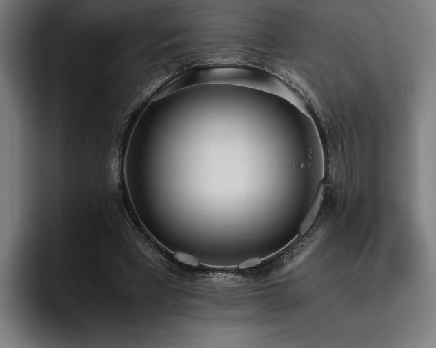 X0000093530393200710121603