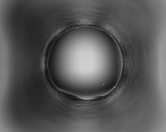 X0000093530395200710121603