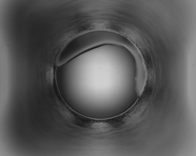 X0000093530397200710121603
