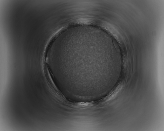 X0000093530399200710121603