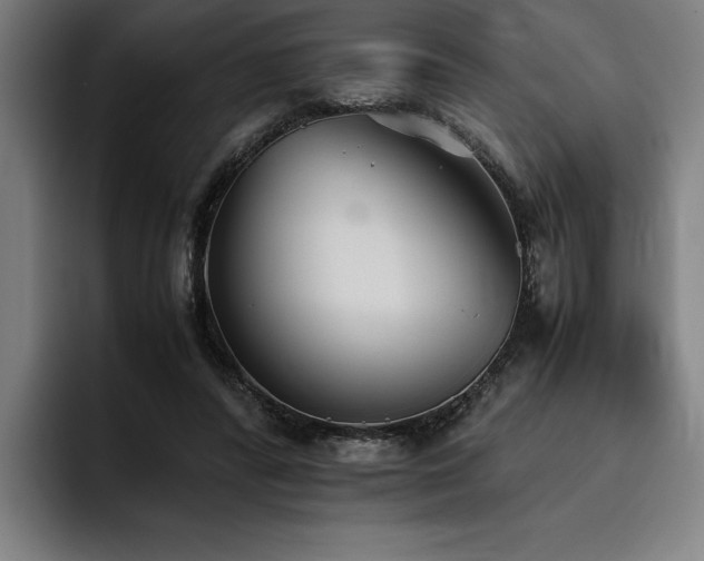 X0000093530400200710121603
