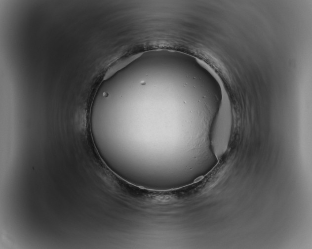 X0000093530401200710121603