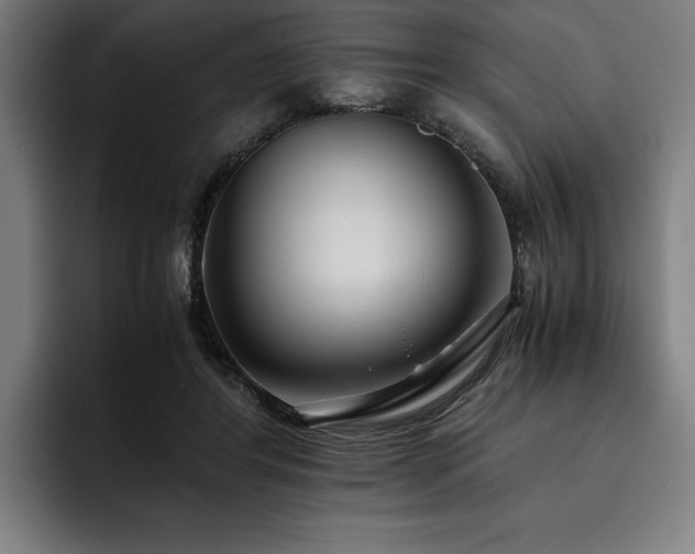X0000093530404200710121603