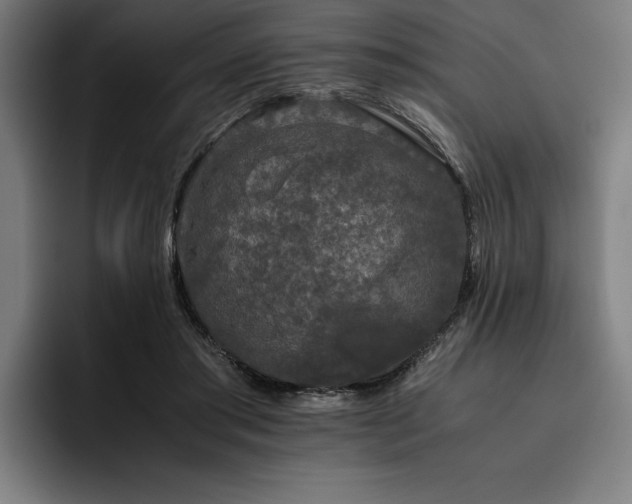 X0000093530405200710121603