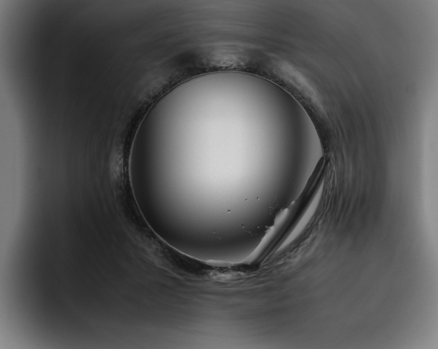 X0000093530407200710121603