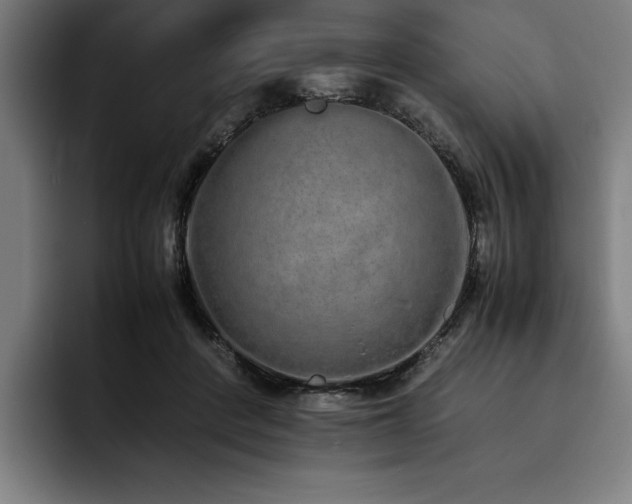 X0000093530408200710121603