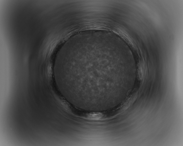 X0000093530410200710121603