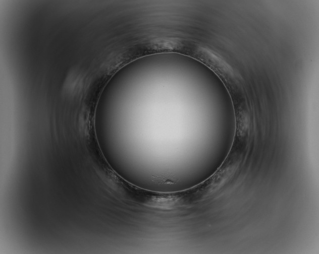 X0000093530414200710121603