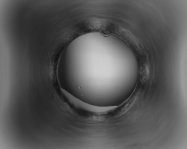 X0000093530416200710121603