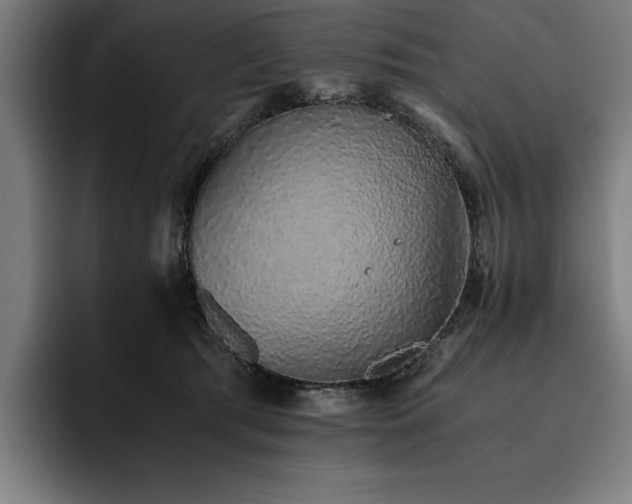 X0000093530417200710121603