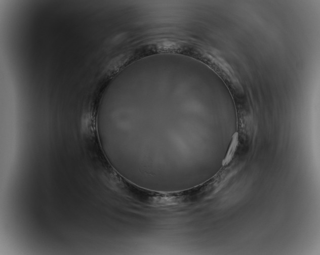 X0000093530419200710121603