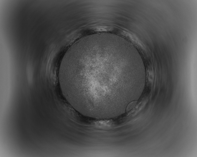 X0000093530422200710121603
