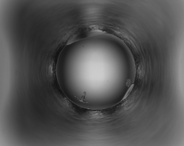 X0000093530424200710121602