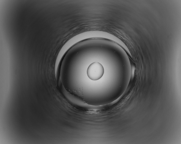 X0000093530425200710121602