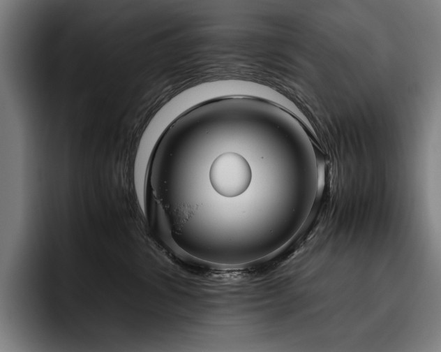 X0000093530428200710121602