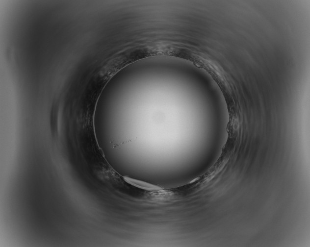 X0000093530429200710121602