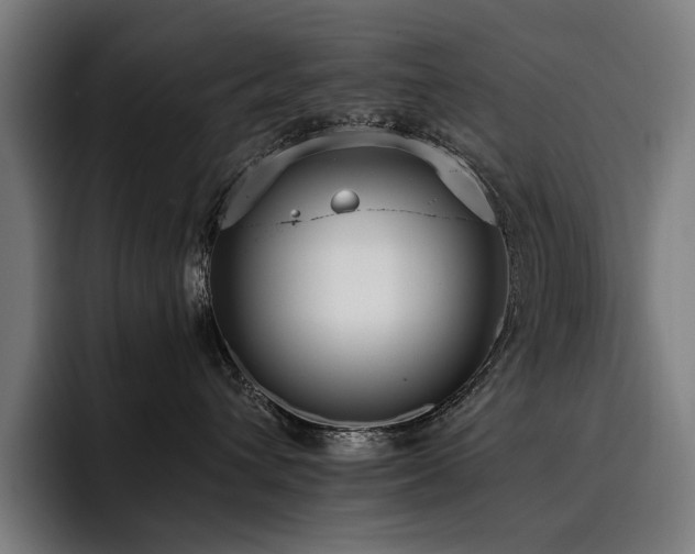 X0000093530432200710121602