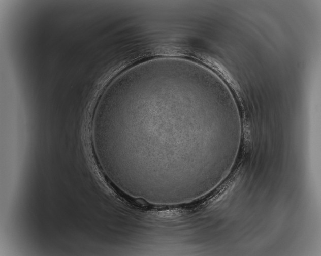 X0000093530433200710121602