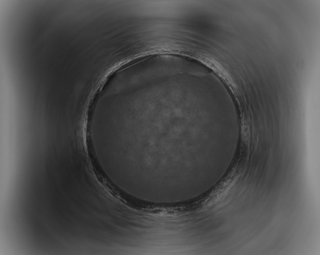 X0000093530434200710121602