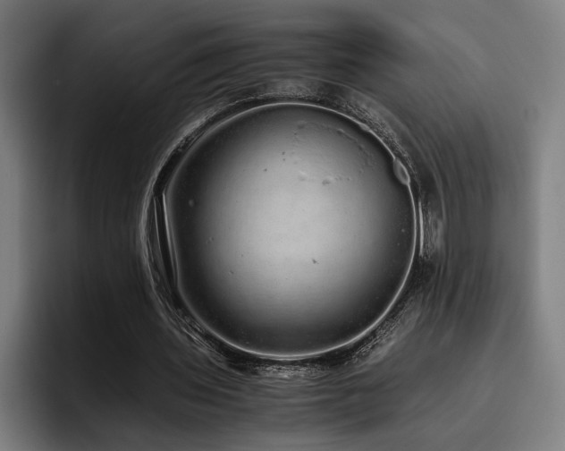 X0000093530435200710121602