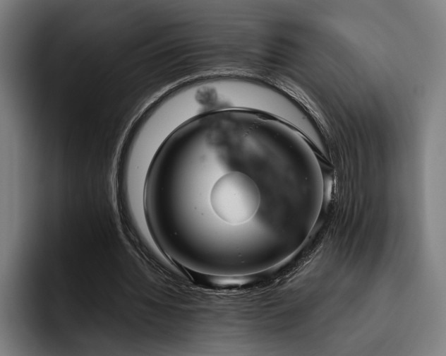 X0000093530436200710121602