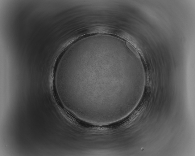 X0000093530437200710121602
