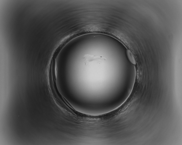X0000093530438200710121602