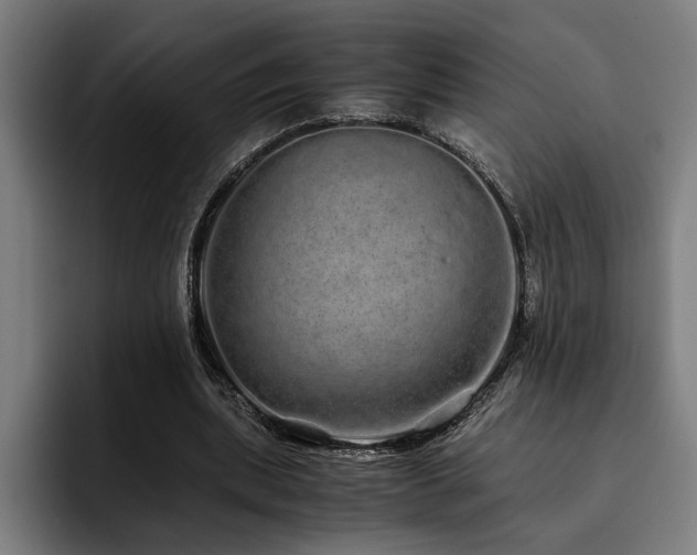 X0000093530439200710121602