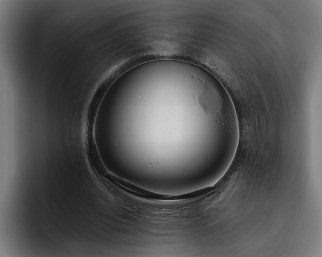 X0000093530440200710121602