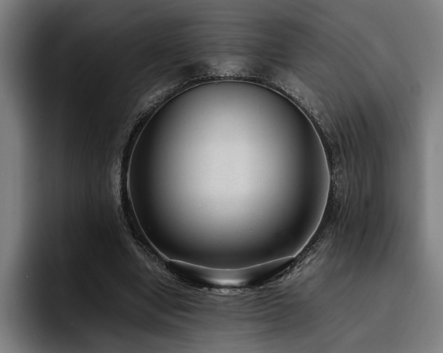 X0000093530442200710121602