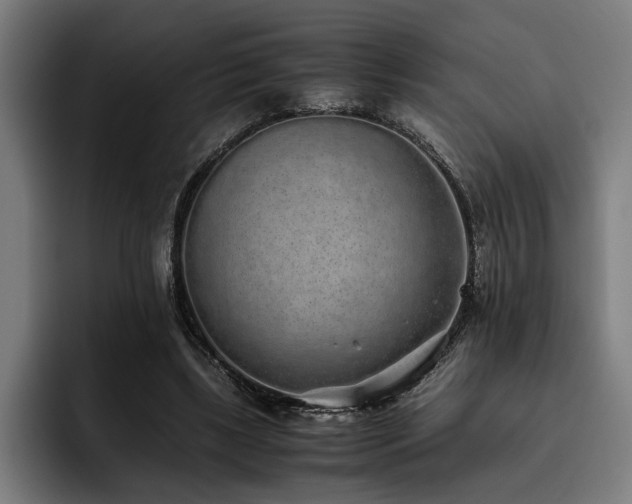X0000093530443200710121602