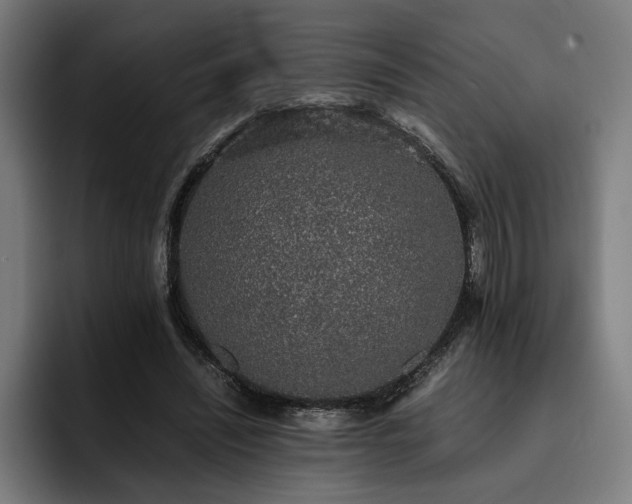 X0000093530444200710121602