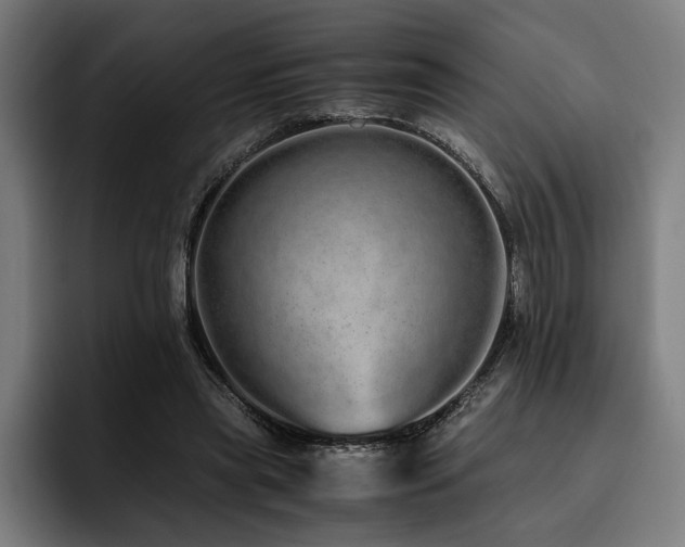X0000093530445200710121602