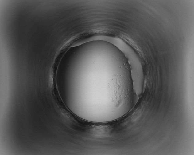 X0000093530446200710121602