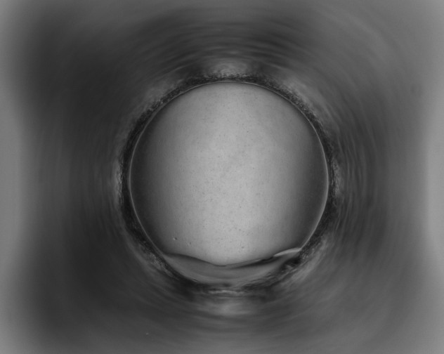X0000093530447200710121602