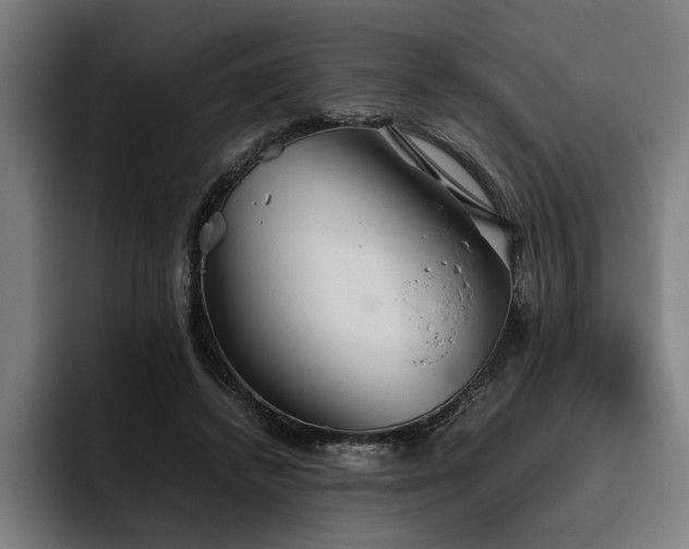 X0000093530448200710121602