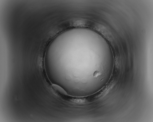 X0000093530449200710121602