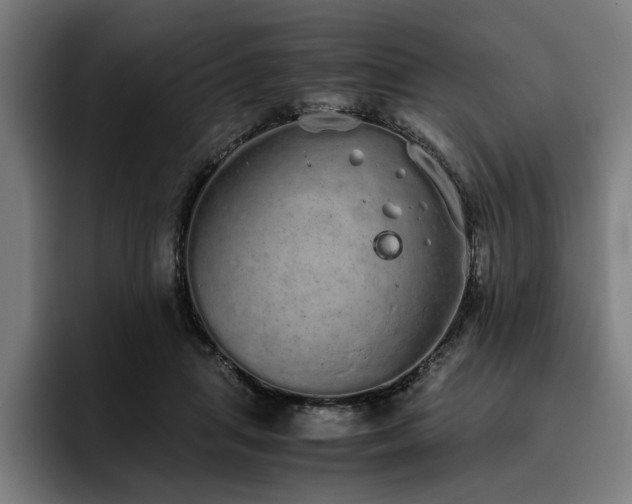 X0000093530455200710121602