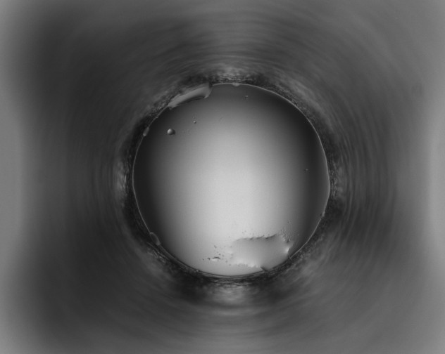 X0000093530456200710121602