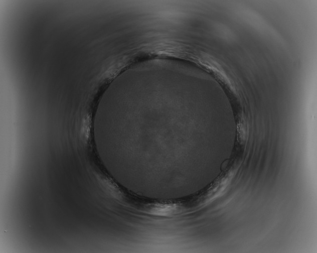 X0000093530458200710121602