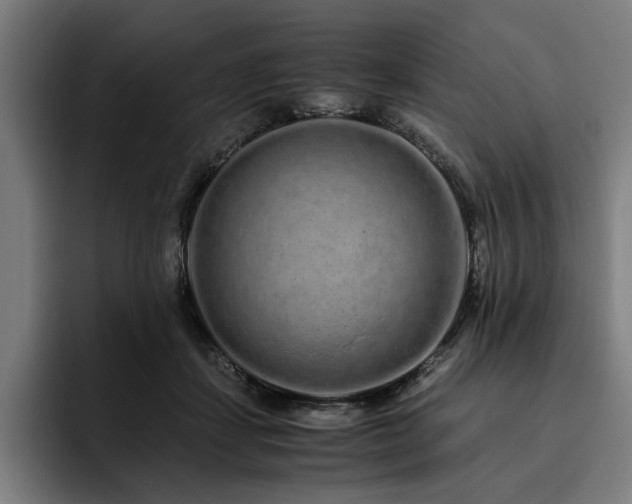 X0000093530459200710121602