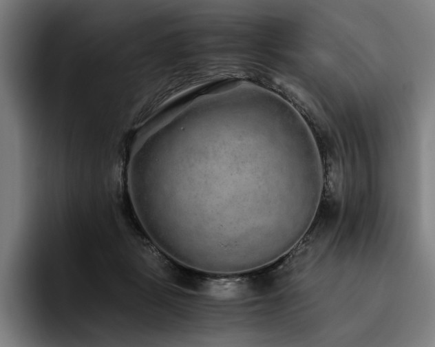 X0000093530461200710121602