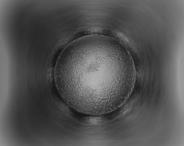 X0000093530462200710121602