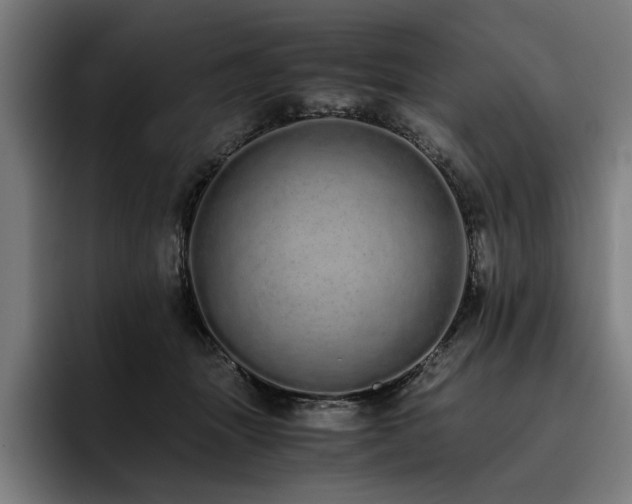 X0000093530463200710121602
