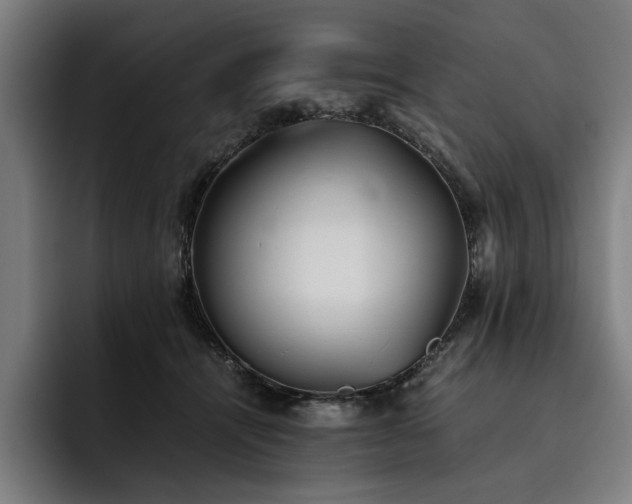 X0000093530464200710121602